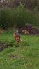 Screenshot_20180909-195630_Gallery.jpg