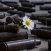 IMG_5771.png