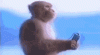 IMG_6144.gif