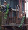 IMG_9711.jpeg